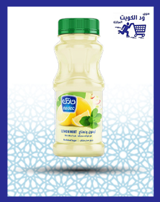 Picture of Nadec lemon drink mint flavor 180 ml